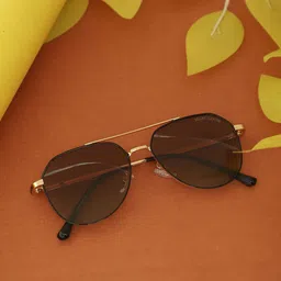 MARC LOUIS Unisex Aviator Sunglasses with Polarised and UV Protected Lens MARC LOUIS 9163 GOLDEN BROWN SG-32