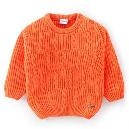 Babyhug 100% Acrylic Full Sleeves Cable Knit Pullover Sweater - Orange-image-63