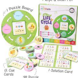 Intelliskills Life Cycle puzzle with 12 Birds, Insects & Animals| 3 level Gameplay, Sequencing, Colour Matching, Logic, Maths | Educator Recommended image 2