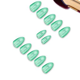 PRIVIU Set Of 12 Reusable Chromatic Nail With Application Kit Mint Green image 3