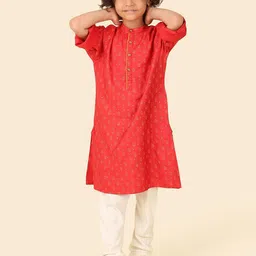Fabindia Boys Ethnic Motifs Printed Mirror Work Straight Kurta-47