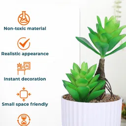 Kuber Industries Green & White Succulent Artificial Plant With Pot image 5