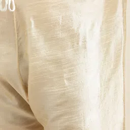 SOJANYA PLUS Men Plus Size Golden Solid Kurta with Churidar Comes With a Nehru Jacket image 5