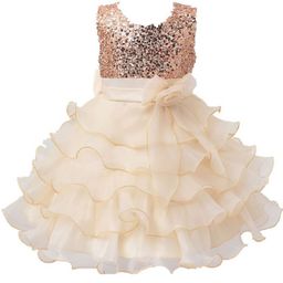 Wow Princess Net A-Line Dress-20