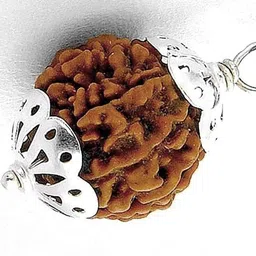 Divine souvenirs Unisex Brown Natural Rudraksha Spiritual Pendant-image-26