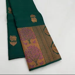 Visit Wear Woven Design Zari Pure Silk Banarasi Saree-picture-24