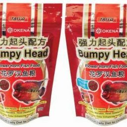 Bumpy Head Flowerhorn (2x100gm) 0.2 kg (5x0.04 kg) Dry Senior Fish Food-image-5
