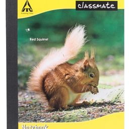 Classmate Notebook Four Lines With Gap Ruling - 172 Pages-20