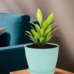 Kuber Industries Peach Colored & Green 2 Pieces Textured Durable Planters-11