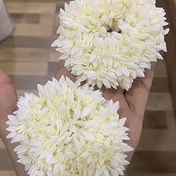 DressBerry Women Set of 6 Gajra Hair Accessories-94