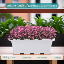 Kuber Industries 3Pcs White Rectangle Shaped Jupiter Window Planters image 4