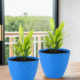 Kuber Industries Blue 2 Pieces Diamond Pattern Durable Planters-31