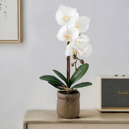 UMAI White 1 Pieces Artificial Flower With Pot image 1