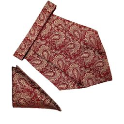 Paisley Design Cravats & Pocket Square Combo-image-18