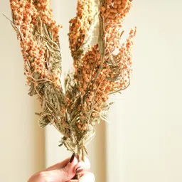 ArteCasa Yellow & Green Dried mimosa Artificial Flower-43