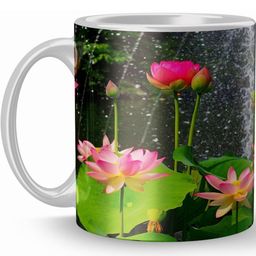 Gift4You Ceramic Cups-image-69