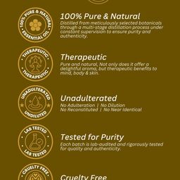 ULLASSA Set Of 4 Eucalyptus Essential Oil- 10 ml Each image 2