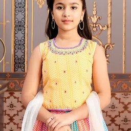 BAESD Girls Embroidered Ready to Wear Lehenga &-picture-45