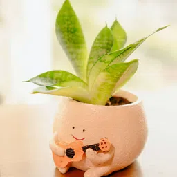 ArteCasa Beige The Jazzy Planter-23