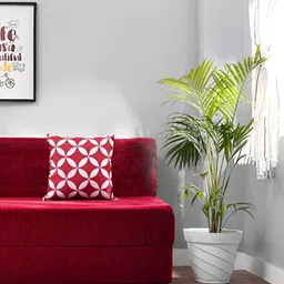 Solis Primus Comfort for all Maroon Foam Fold Out Sofa Cum Bed-image-89