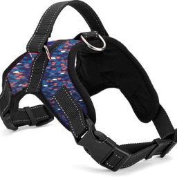 Star Body Belt Rope Combo Dog & Cat Harness & Leash-image-95