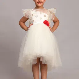 Toy Balloon kids Floral Net Fit & Flare Dress-picture-42