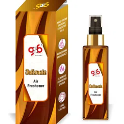 GSB Unisex NA Air Freshener-18