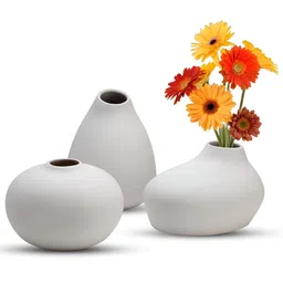 BODHI HOUSE White 3 Pieces Ceramic Flower Vases-image-93