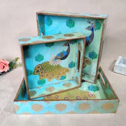 4866 Tray-image-36