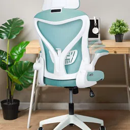 DROGO Blue High Back Computer Chair With Mesh & Lumbar Support Study Chair-picture-56