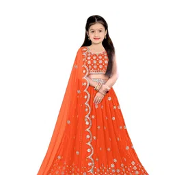 F Plus Fashion Multi Net Lehenga Choli-image-19