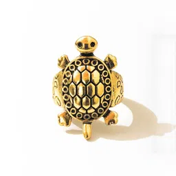 Vaiseema Stainless Steel Gold-Plated Finger Ring-picture-28