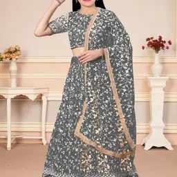 F Plus Fashion Purple Net Lehenga Choli-picture-52