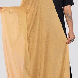 Moda Rapido Selection of 4 Striped Woven Design Dupatta image 4
