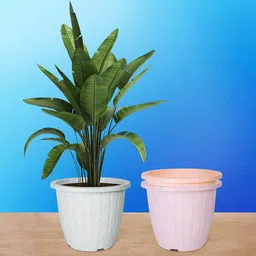 Kuber Industries White & Pink 3 Pieces Textured Round Marble Euro Planters-image-24