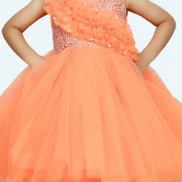 Modish Net Fit & Flare Dress image 5