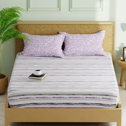 KOPA Grey & Lavender Striped 152 TC Queen Bedsheet with 2 Pillow Covers-image-34