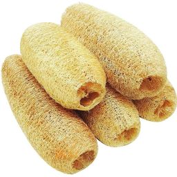 Loofah-15