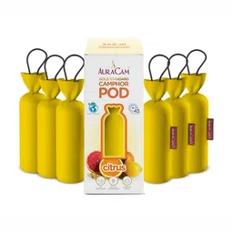 AuraCam 6Pcs Yellow Gold Standard Camphor Pod Cone Citrus Air Fresheners-12