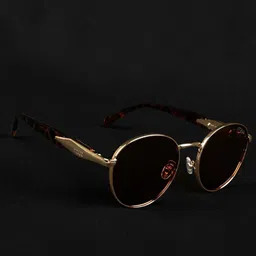 Irayz Unisex Brown Lens & Gold-Toned Round Sunglasses with-picture-8