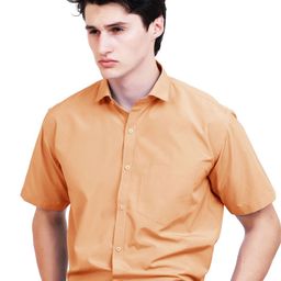 APPEL TOUCH Spread Collar Regular Fit Formal Shirt-image-50