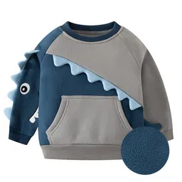StyleCast Boys Colourblocked Sweatshirt-picture-3