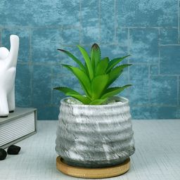 Myntra Elegant Homes White 1 Pieces Aloe Vera Artificial Plant With Pot-58