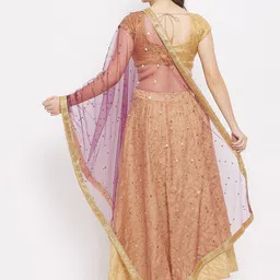 Clora Creation Embroidered Dupatta with Sequinned image 4