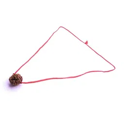 RAVIOUR LIFESTYLE Girls Brown Jewellery Set-image-61