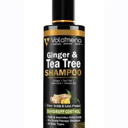 Volamena Ginger & Tea Tree Shampoo For Dandruff Control-100ml-2