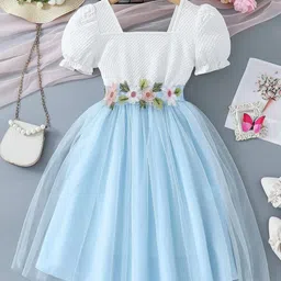 Miss & Chief Embellished Puff Sleeve Net A-Line Dress-picture-40