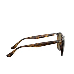 Ray-Ban Lens & Rectangular Sunglasses Full Rim With UV Protected Lens 8056597073004 image 2