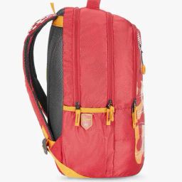 skybags Travel Backpack with Adjustable Straps image 4