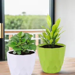 Kuber Industries 2-Pieces Green & White Textured Planters-40